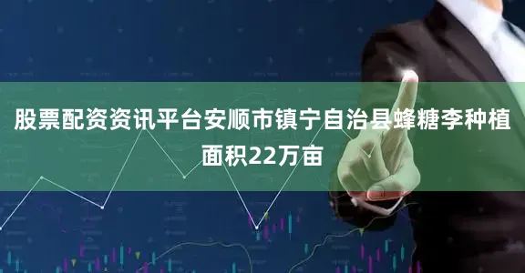 股票配资资讯平台安顺市镇宁自治县蜂糖李种植面积22万亩