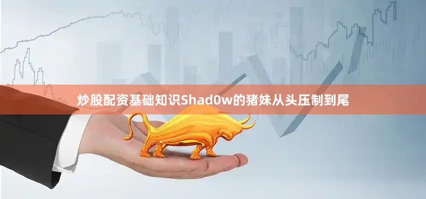炒股配资基础知识Shad0w的猪妹从头压制到尾
